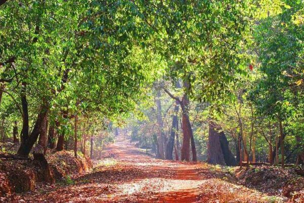 Off the Beaten Path in North Goa: Hidden Gems and Natural Wonders