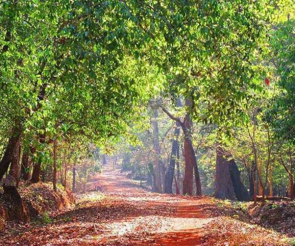 Off the Beaten Path in North Goa: Hidden Gems and Natural Wonders