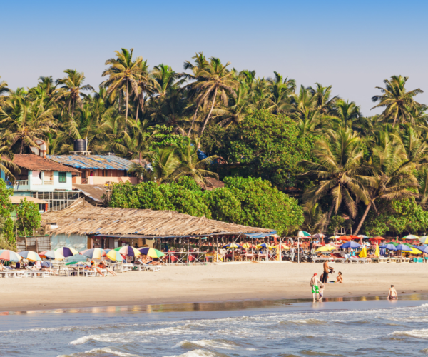 A Foodie’s Guide to South Goa: Savouring the Local Flavors