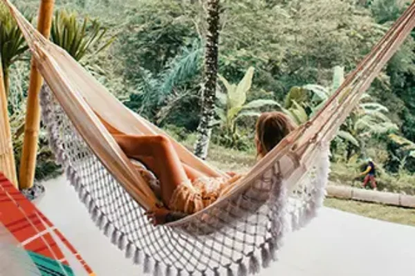 Winter Festive Offers TreeHouse Hotels India