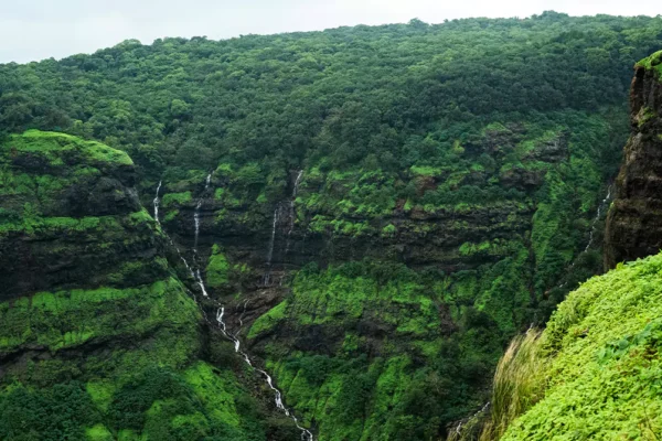 Discover the Charm of Belgaum with TreeHouse Hotels & Resorts