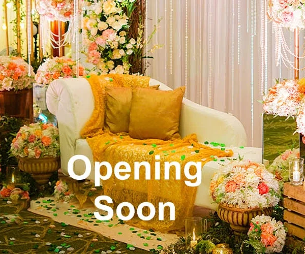 TreeHouse Velis Sonipat – Opening Soon