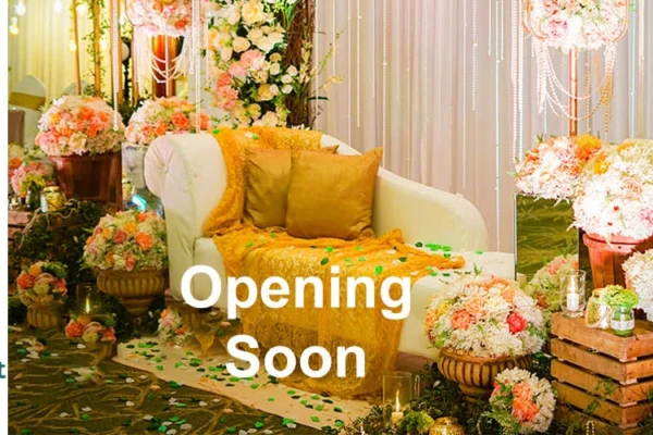 TreeHouse Velis Sonipat – Opening Soon
